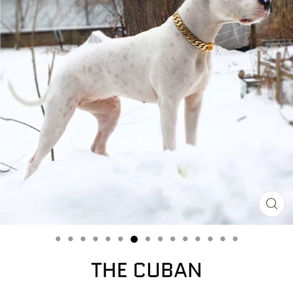 Big Dog Chains collar. 24 inches. Lifetime Guarantee - Picture 3 of 7